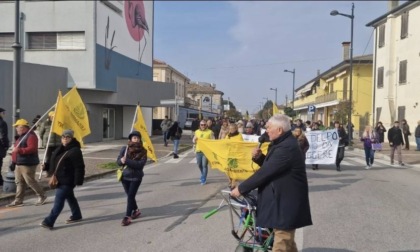 Progetto inceneritore, i residenti del Delta del Po dicono no