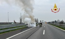 Vede del fumo uscire dal cofano, il tempo di accostare e l'auto prende fuoco