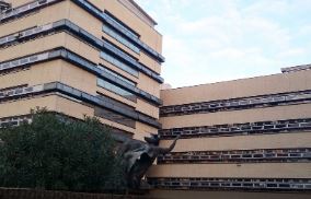 Arrestato pugile tunisino, sparo’ ad un uomo