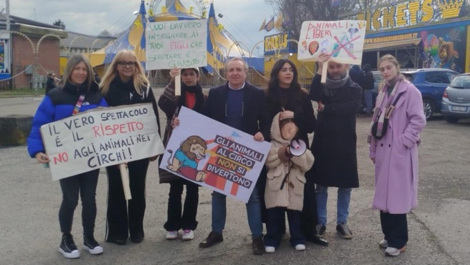 Circo con gli animali: la protesta di una bambina e la mobilitazione della politica
