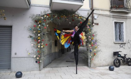 Alla scoperta della primavera al Villaggio dei Fiori Springmania: protagoniste api e farfalle danzanti 