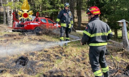 Principio d'incendio nel bosco a Vezza d'Oglio: l'intervento dei Vigili del Fuoco