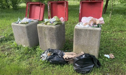 Rive dell'Oglio invase dai rifiuti, i volontari del Gelso sempre in prima linea