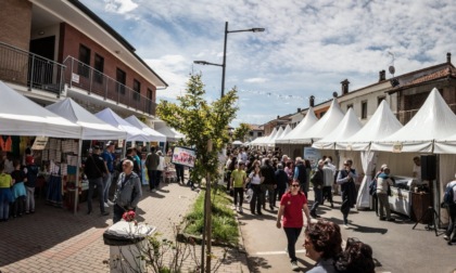 A Poirino torna la Fiera dell’Asparago e della Tinca