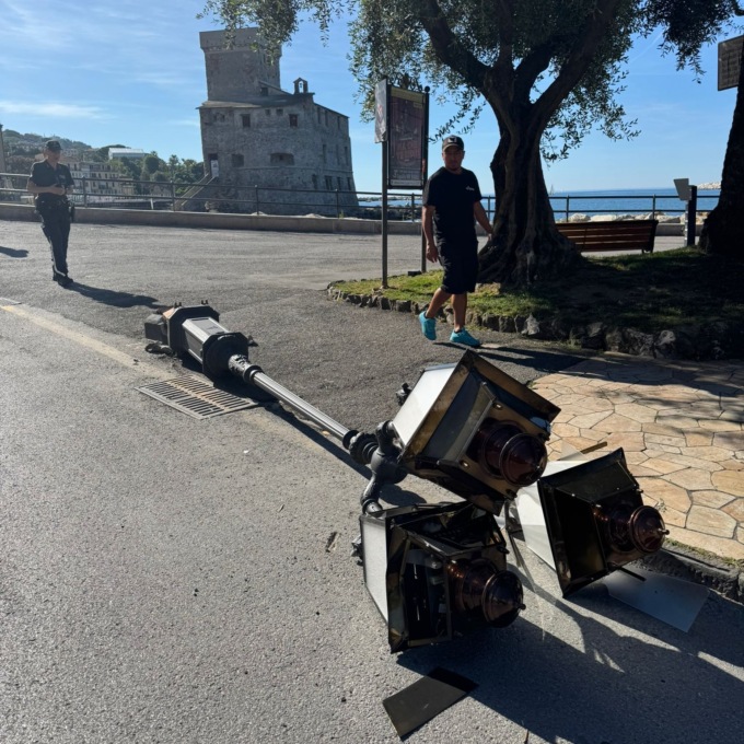 Abbatte accidentalmente un lampione con il furgone