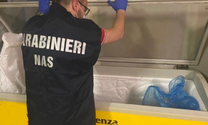 Carabinieri NAS  Parma: riscontrate diverse carenze igienico sanitarie