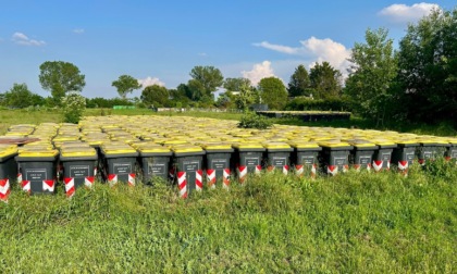 Centinaia di cassonetti dietro al cimitero ebraico e monumentale ad Alessandria