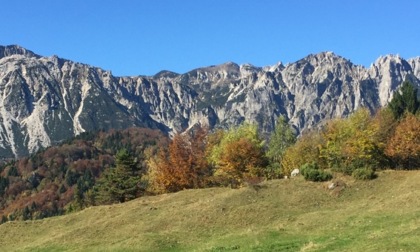 Cosa fare a Vicenza ed in provincia nel weekend: gli eventi da sabato 10 a domenica 11 maggio 2025