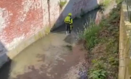 Garlasco, dal canale prosciugato a Tromello spuntano un martello e altri oggetti metallici