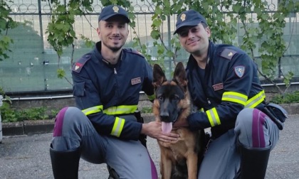La Polizia salva un cucciolo di pastore tedesco lungo la provinciale di Tortona