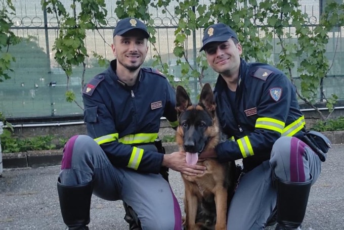 La Polizia salva un cucciolo di pastore tedesco lungo la provinciale di Tortona