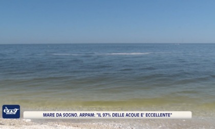 Mare da sogno. Arpam: "Il 97% delle acque è eccellente" - VIDEO