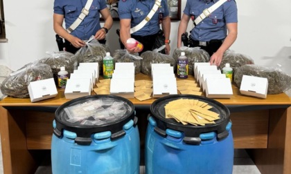 Scoperta una serra con 9 piante di marijuana