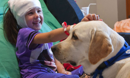 Un'intera giornata dedicata alla Pet therapy