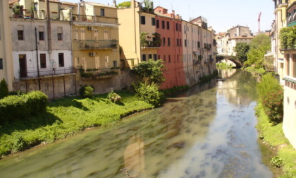 Cosa fare a Padova e provincia nel weekend: eventi dal 6 all' 8 giugno 2025