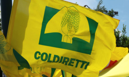 Dazi: Coldiretti, "Strategico il dialogo tra Usa e Ue"