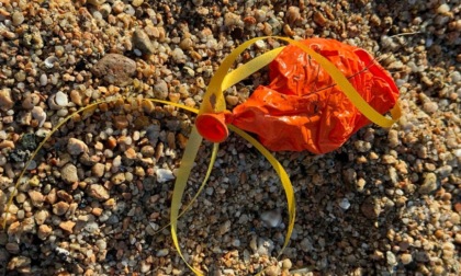 No al lancio di palloncini, Plastic Free ferma l'iniziativa della scuola