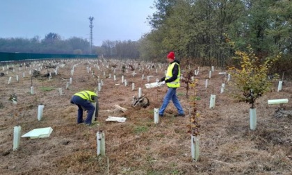 Parco dei Mughetti: al via la nuova campagna per diventare volontario civico