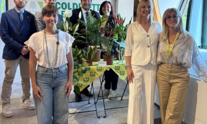 Piante a scuola: il progetto al via da settembre