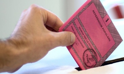 Referendum flop, Italia Viva: "Si apra nel centrosinistra riformista una seria riflessione"