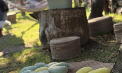 A Serra Riccò torna l'Agrisummer party: la festa del km zero