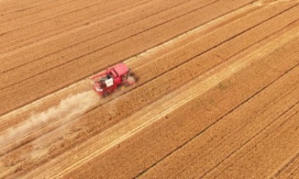 Agricoltura, polemiche sulle risorse
