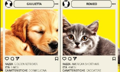 "Amici fedeli", al via la nuova iniziativa di "Eco di Biella"