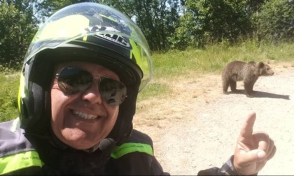 Cercare di farsi un selfie con un leone o con un orso non è una grandissima idea