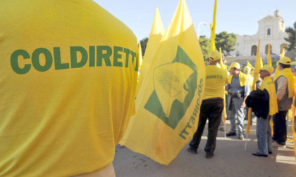 Coldiretti Novara-Vco su usi civici: svolta per l’agricoltura, abbattimenti della sanatoria fino al 90%