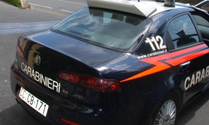 Entroterra Sestri, sequestrati e distrutti oltre 30 kg di alimenti in un agriturismo