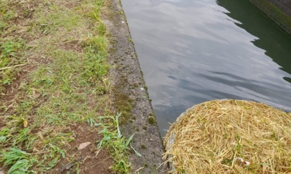 Gettata una balla di fieno nel canale, sottopasso e strada allagati