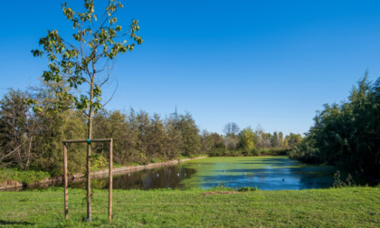 Il Parco agricolo Sud Milano ha un nuovo statuto