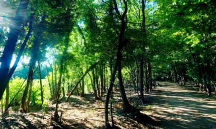 Nuova edizione in partenza per la Roccolo cross country
