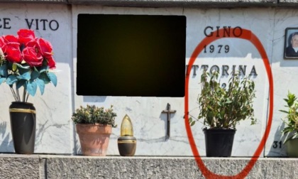 Rubano i fiori al cimitero e in cambio ne lasciano altri... appassiti