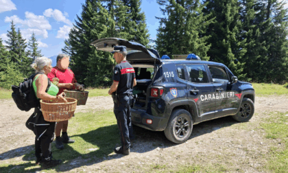 Belluno, sequestrati 100 kg di porcini: multe per oltre 10mila euro