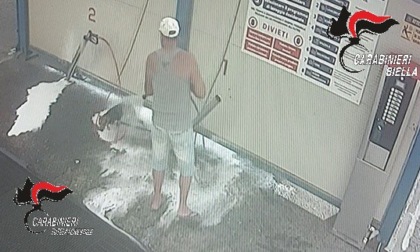 Cane lavato all’autolavaggio, il proprietario si difende: «Ho usato la bassa pressione»