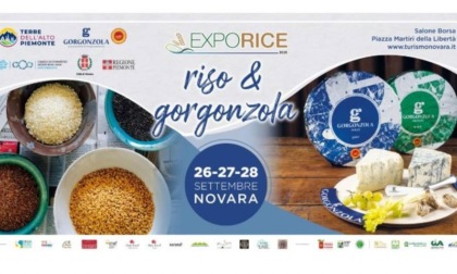 “Exporice 2025: riso & gorgonzola”: l'evento a settembre a Novara