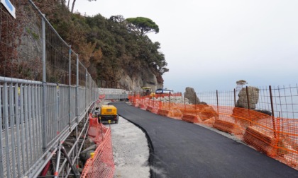 Inagibile la passerella pedonale lungo la SP 227