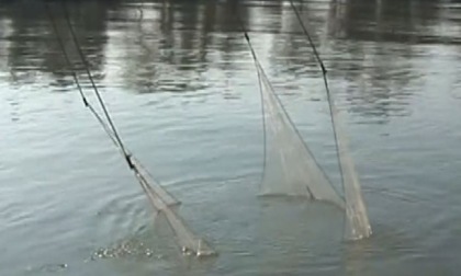 Insabbiamento della foce del Garigliano, l'appello per salvare pesca e navigazione