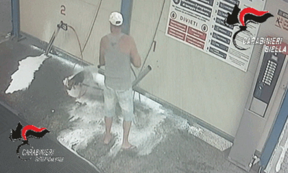 Lava il cane con schiuma e lancia ad alta pressione all’autolavaggio