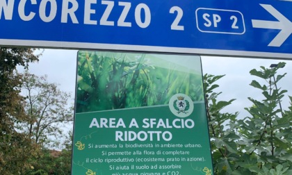"Le aree a sfalcio ridotto? Una presa per il c..."
