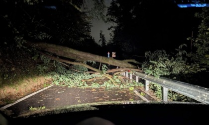 Maltempo. Albero caduto a Torre de' Busi, residenti senza corrente