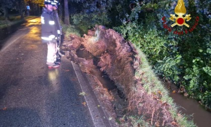 Maltempo in provincia di Padova: 35 interventi dei vigili del fuoco, soprattutto sui Colli Euganei