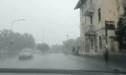 Maltempo: strade allagate a Novara e albero caduto a Nebbiuno