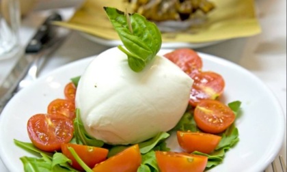 Maxi-richiamo di mozzarella per presenza di pezzi di metallo: i prodotti e i lotti richiamati