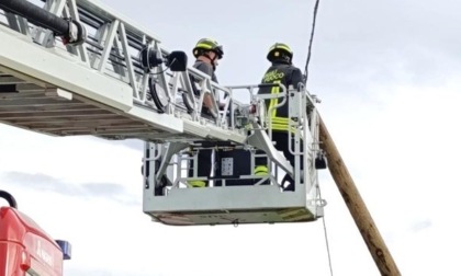 Palo pericolante lungo la strada: intervengono i vigili del fuoco