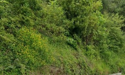 Resti umani nel bosco, oggi gli esami medico legali