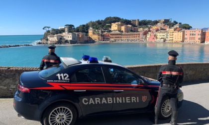 Rissa nella notte a Sestri Levante