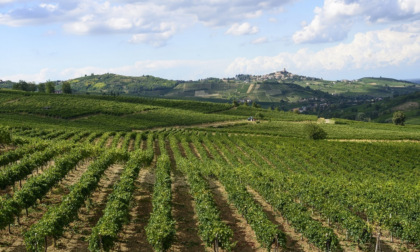Terre d’Oltrepò e l'incontro con il commissario. I sindacati: "Trasparenza per la tutela dei lavoratori"