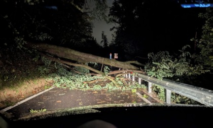 Torre de' Busi, blackout di qualche ora causa maltempo: un albero è caduto su un cavo